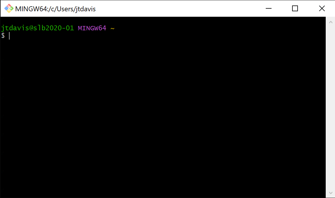 GitBash_HomeScreen